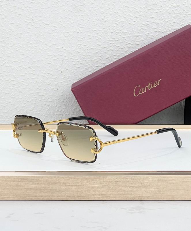 Cartier Glasses smr (66)