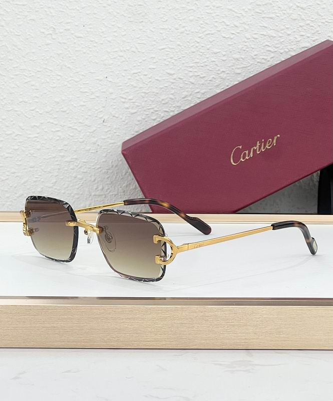 Cartier Glasses smr (68)