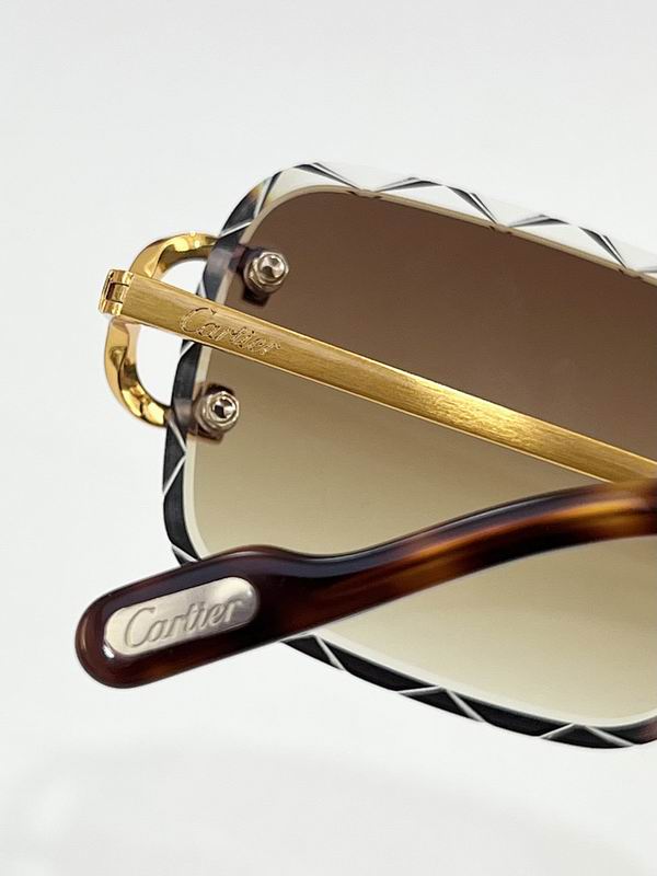Cartier Glasses smr (69)