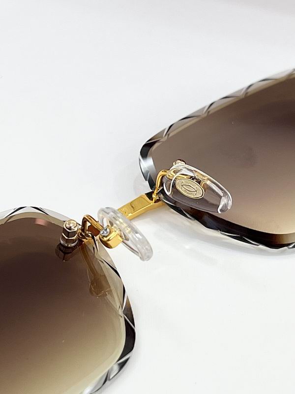 Cartier Glasses smr (70)