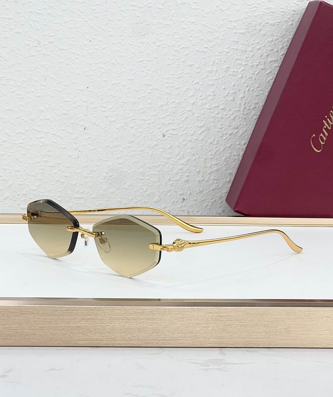 Cartier Glasses smr (74)