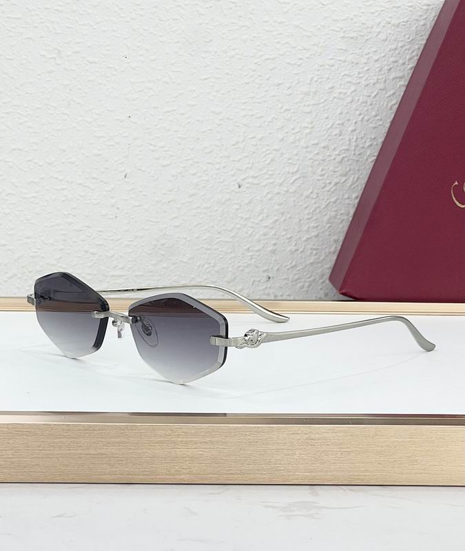 Cartier Glasses smr (76)