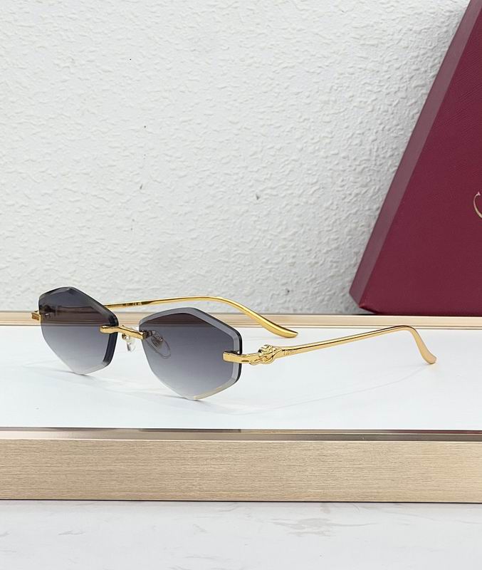 Cartier Glasses smr (77)