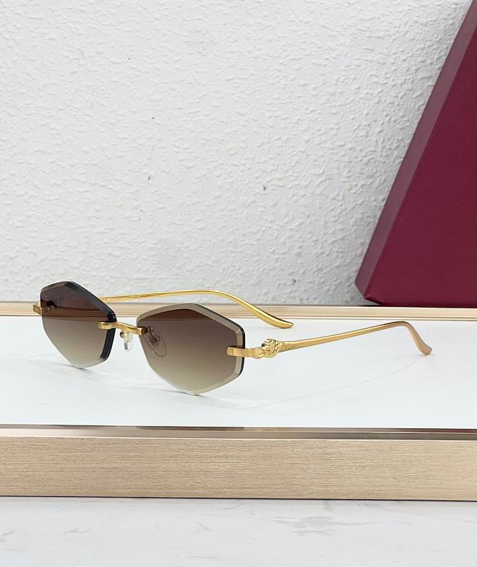Cartier Glasses smr (78)