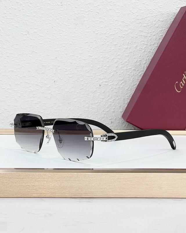 Cartier Glasses smr (791)