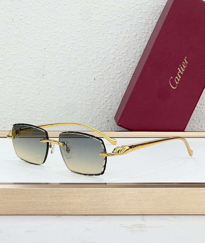 Cartier Glasses smr (8)