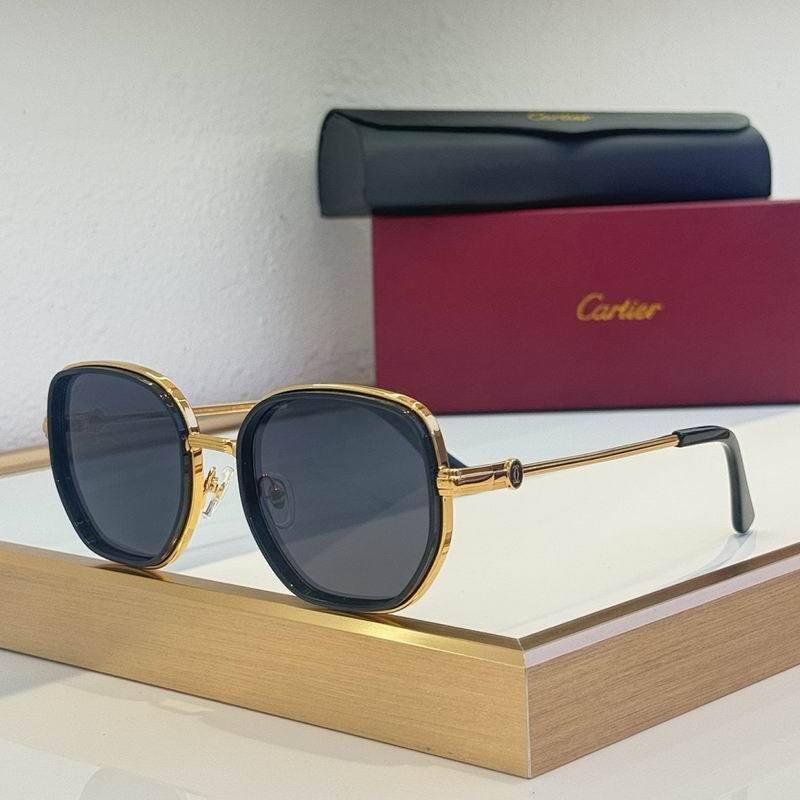 Cartier Glasses smr (83)