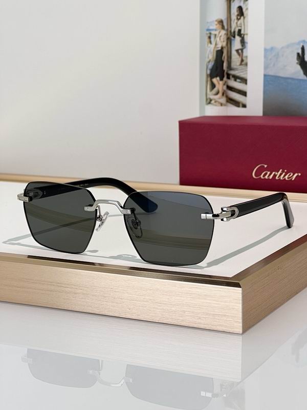 Cartier Glasses smr (858)