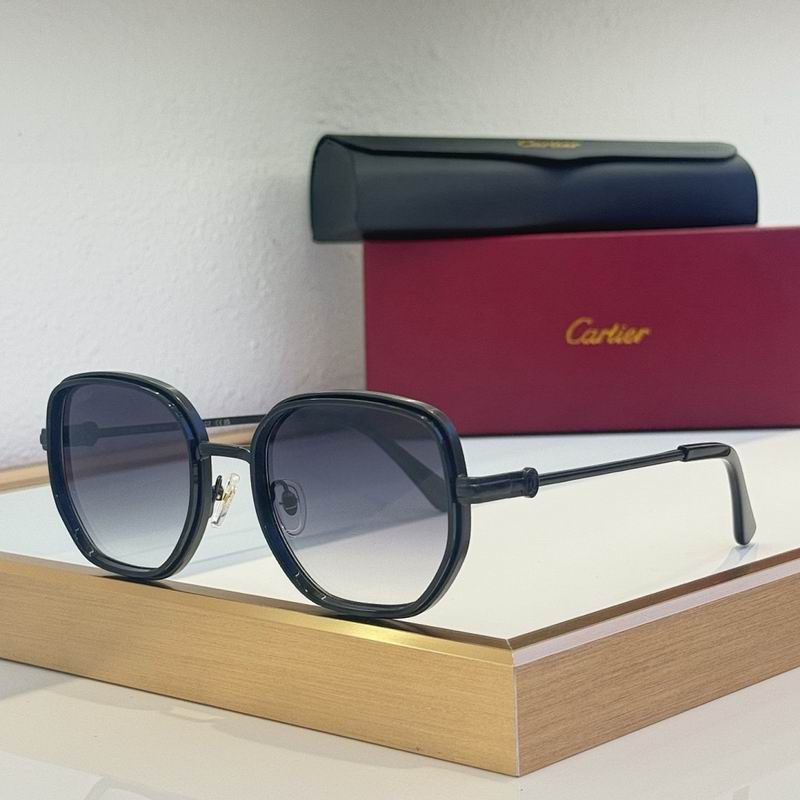 Cartier Glasses smr (86)