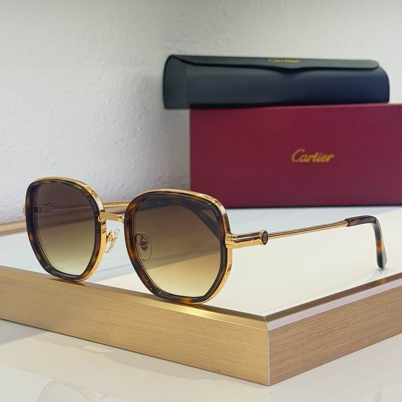Cartier Glasses smr (87)