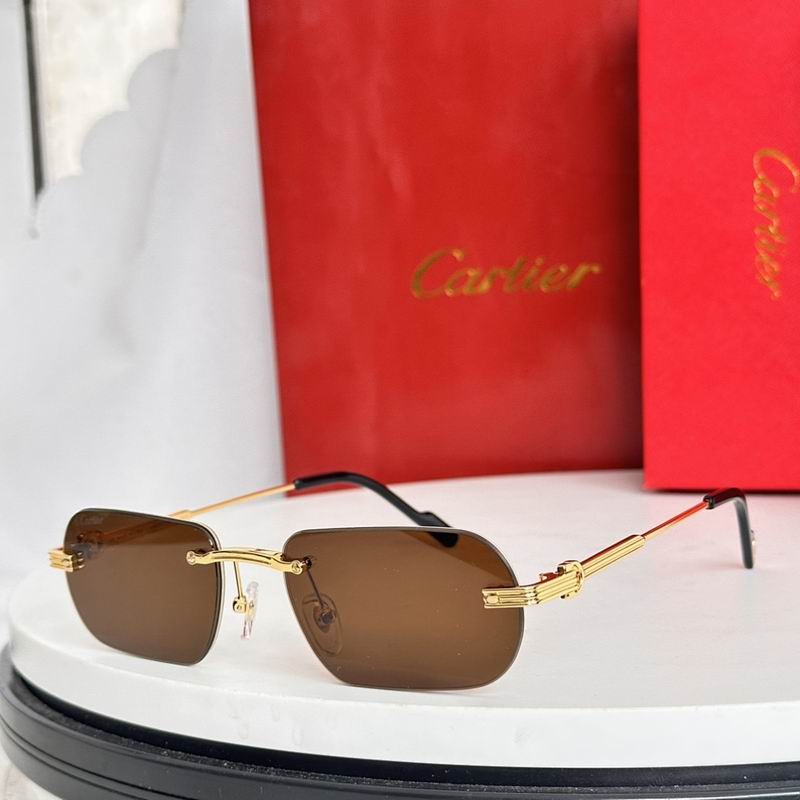 Cartier Glasses smr (911)