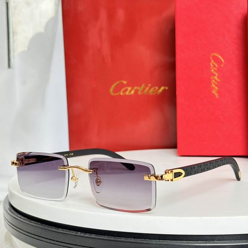 Cartier Glasses smr (971)