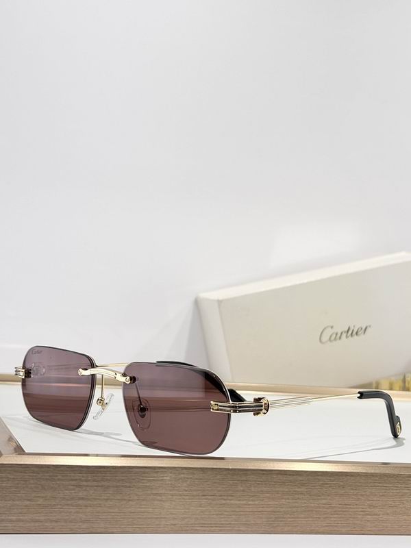 Cartier Glasses smr (999)