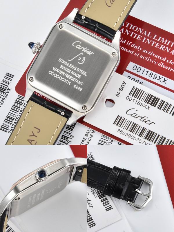 Cartier M32X43mm W28X38mm 09 (2)