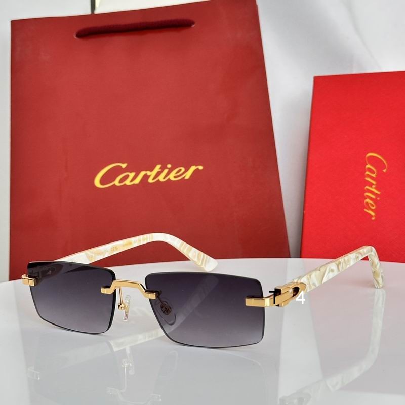 Cartier MU02Z 55 19-145 e04