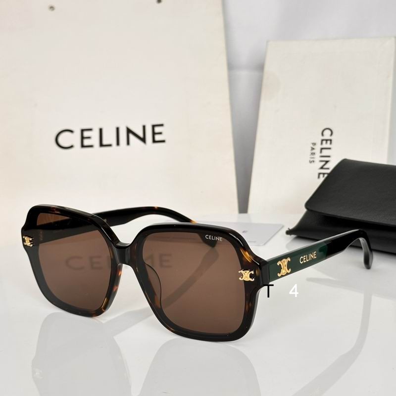Celine CL42120U 65 17-145 e04