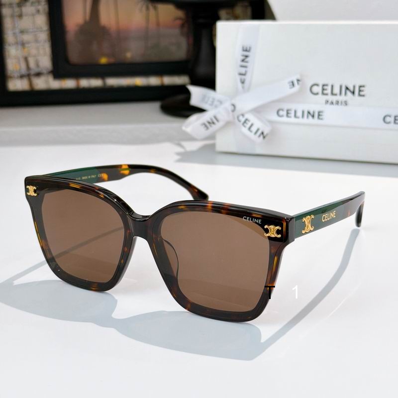 Celine CL42121U 65 18-145 a03