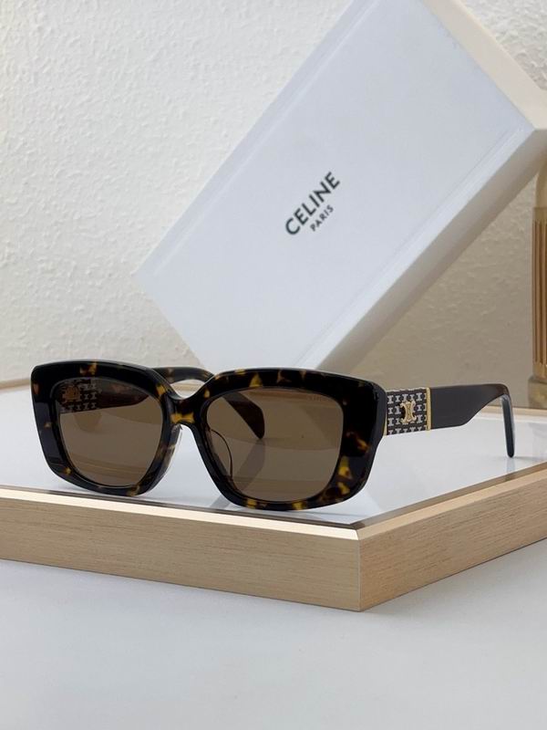Celine Glasses sms (319)
