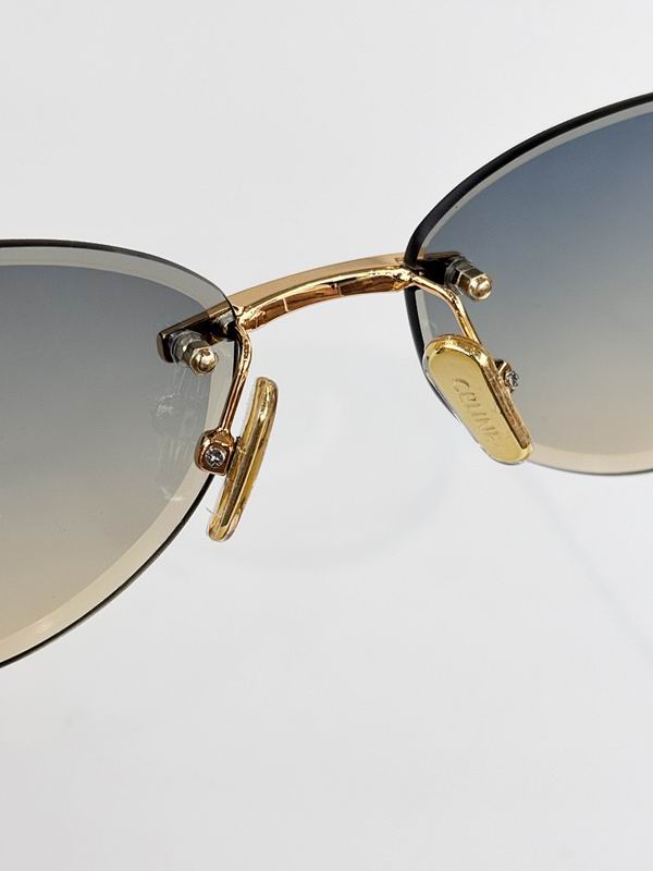 Celine Glasses sms (645)