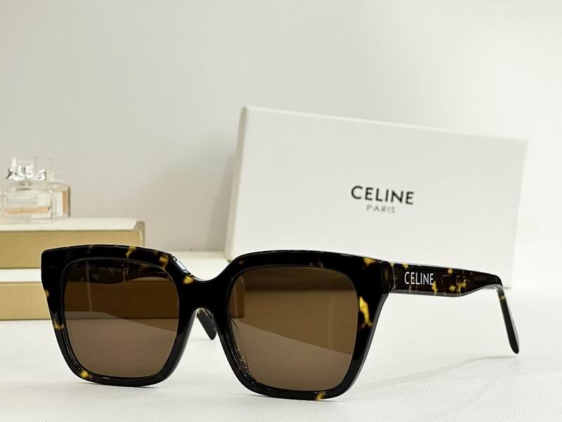Celine Glasses sms (66)