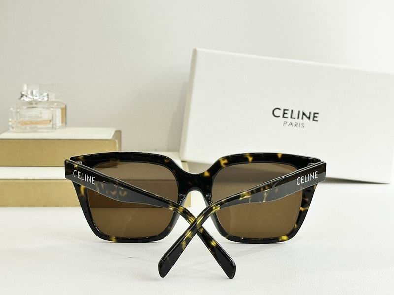 Celine Glasses sms (70)