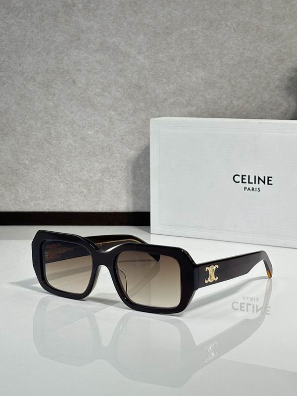 Celine Glasses sms (704)