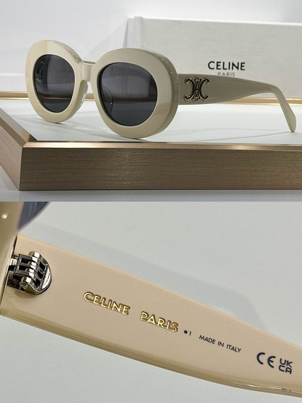 Celine Glasses sms (73)
