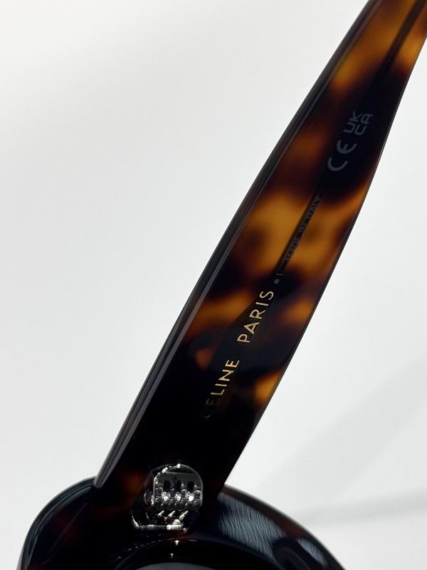 Celine Glasses sms (76)