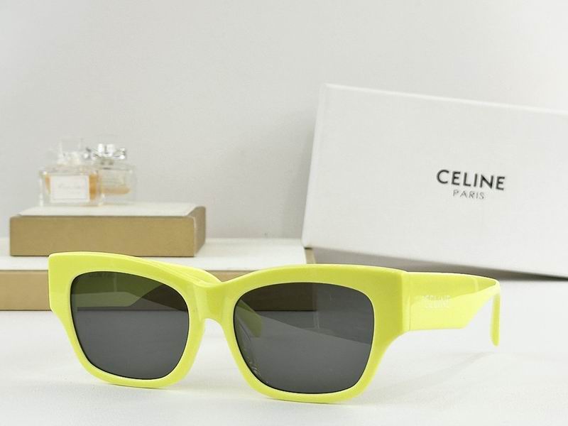 Celine Glasses sms (83)