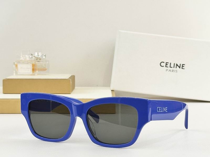 Celine Glasses sms (84)