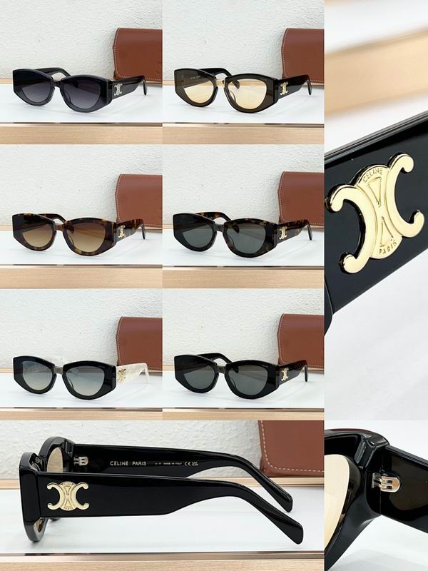 Celine Glasses sms (840)