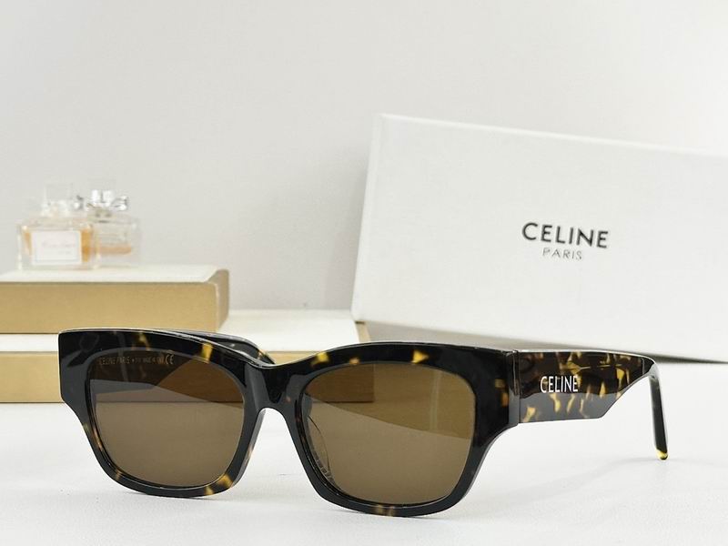 Celine Glasses sms (85)