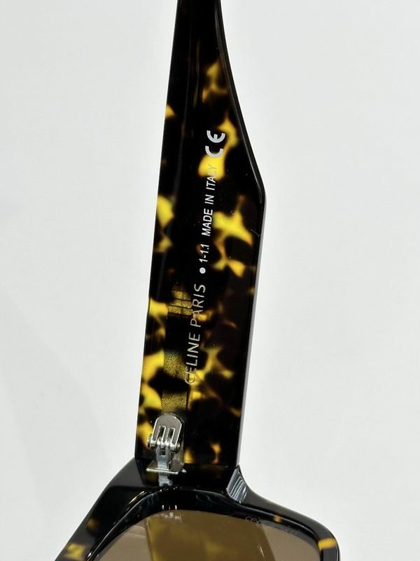 Celine Glasses sms (88)