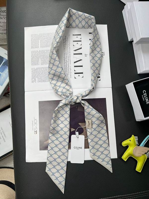 Celine silk ribbon hm (14)