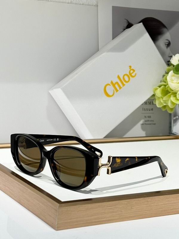 Chloe Glasses sms (24)