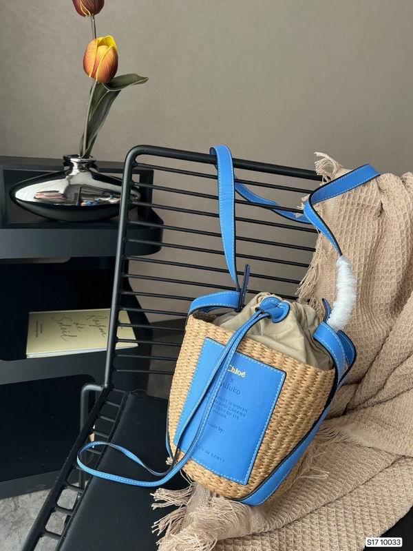 Chloe beach bag dx (271)