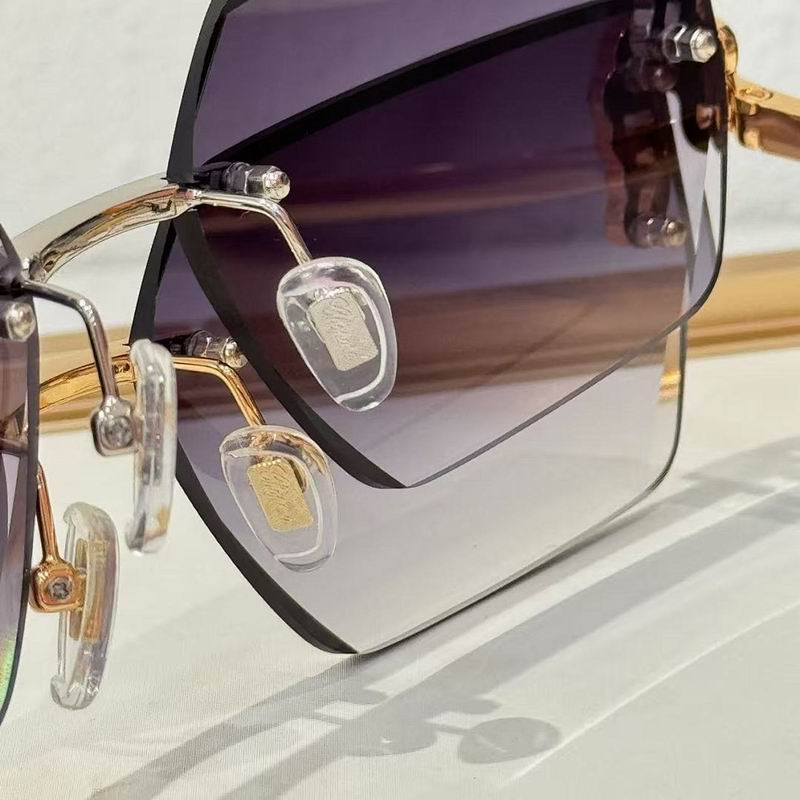Chopard Glasses  sms (254)