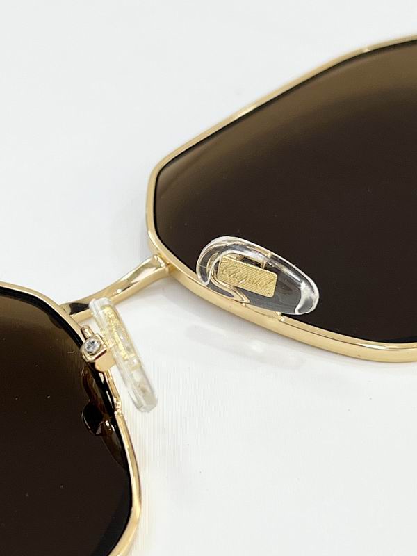 Chopard Glasses  sms (55)