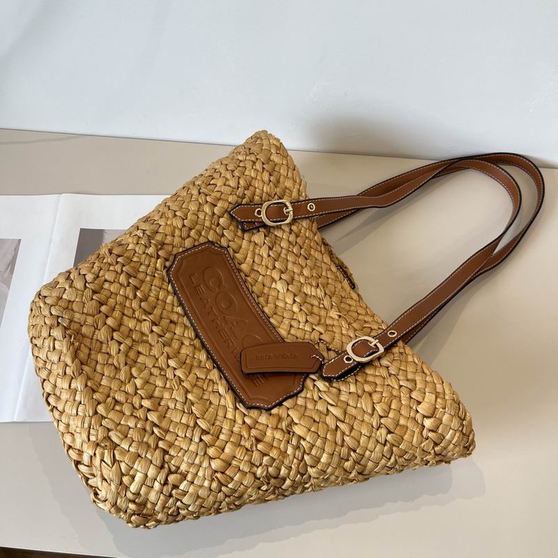 Coach beach bag dx (534)