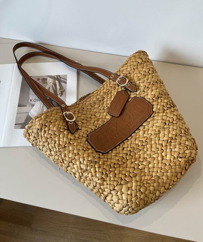 Coach beach bag dx (539)