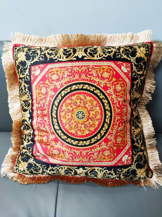 Cushion  SZ45X45 xtz (9)
