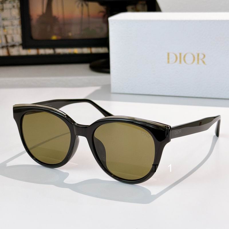 DIOR CD0264S 54 19-147 a02