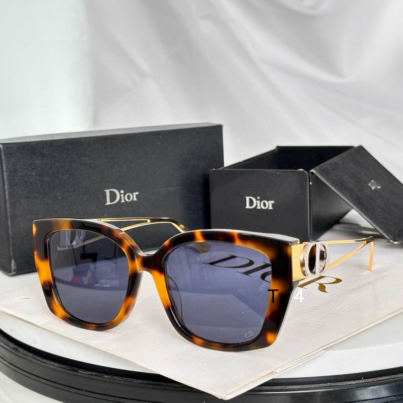 Dior  S13F 54 19-145 e04