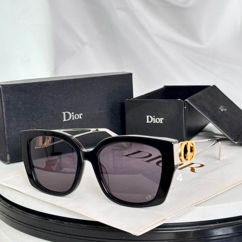 Dior  S13F 54 19-145 e05