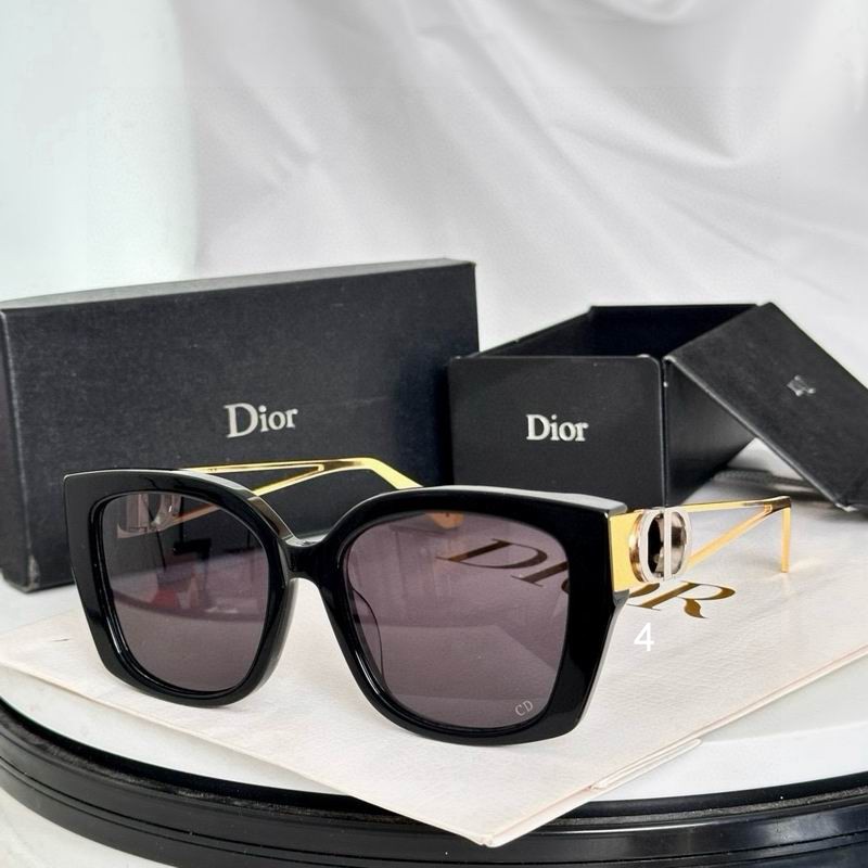 Dior  S13F 54 19-145 e06