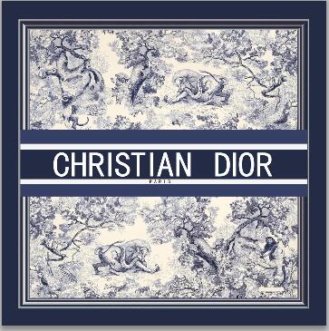 Dior Cushions 45X45cm  (21)