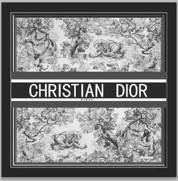 Dior Cushions 45X45cm  (23)