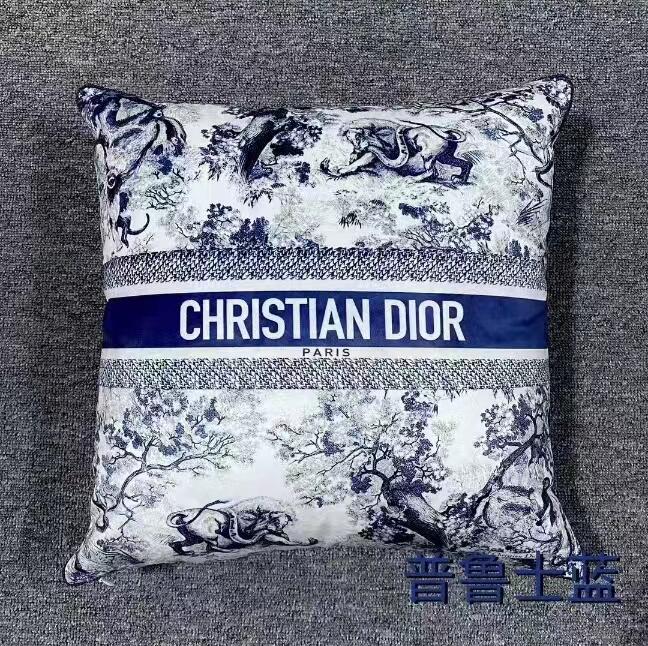 Dior Cushions 45X45cm  (9)
