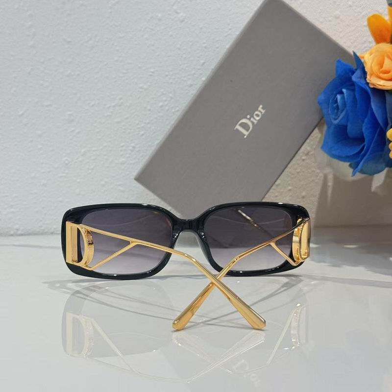 Dior Glasses smr (10)
