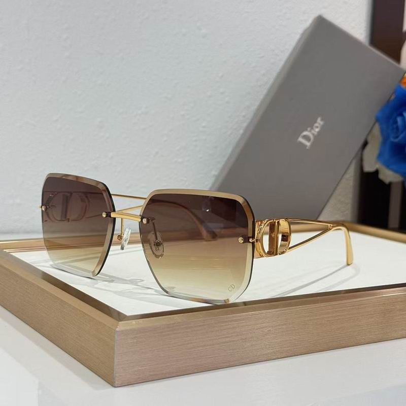 Dior Glasses smr (101)